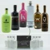 Gin Tasting Set: Einstieg Box Nr. 3 6x0,02l -Tom Home 304153 Product eb84