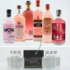 Gin Tasting Set: Pink Gin 6x0,02l 1 Gin Tasting Set: Pink Gin 6x0,02l -Tom Home 308326 Product 617c