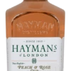 Haymans Peach & Rose Cup (Gin-Basis) 25% 0,7l -Tom Home 45614 neu haymans peach rose cup gin basis 25 0 7l freisteller vs 7b20