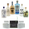 Gin Tasting Set: Fortschritt Box Nr. 2 6x0,02l