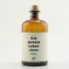 Flaschenpost Gin Edition I (Gib Deinem Leben Einen Gin) 41% 0,5l -Tom Home 60878 001 1