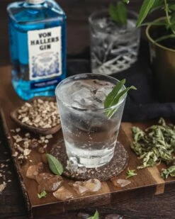 Von Hallers Gin 44% 0,5l -Tom Home 61096 von hallers gin 0 5l 44 mood 4 9311