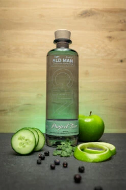 Gin Project Two By Spirits Of Old Man 42% 0,5l -Tom Home 61105 gin project two by spirits of old man 42 0 5l mood 1