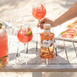 June By G Vine Peach Gin 37,5% 0,7l -Tom Home 61153 june by g vine peach gin 37 5 0 7l mood 4 4912