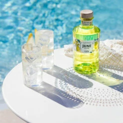 June By G Vine Gin Pear & Cardamon 37,5% 0,7l -Tom Home 61170 june by g vine gin pear cardamon 37 5 0 7l mood 1 b79b
