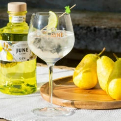 June By G Vine Gin Pear & Cardamon 37,5% 0,7l -Tom Home 61170 june by g vine gin pear cardamon 37 5 0 7l mood 2 a423