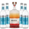 Momotaro Gin Mixpaket 1 Momotaro Gin Mixpaket -Tom Home design ohne titel 8 36ee
