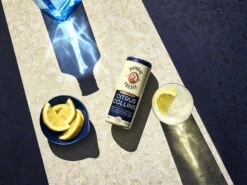 Bombay Citrus Collins 10% 12x0,25l Dose -Tom Home f23 global bombay rtdcollins g t 002 lnp