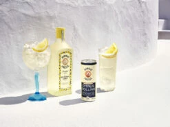 Bombay Citrus Collins 10% 12x0,25l Dose -Tom Home f23 global bombay rtdcollins presse g t lnp