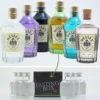 Gin Tasting Set: Wessex Gin 6x0,02l -Tom Home tastingset vorlage gin